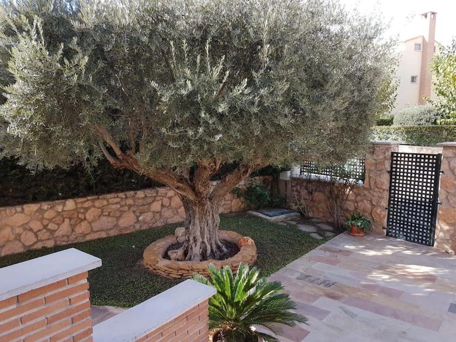 Chalet & Piscina-Jardin-Barbacoa Murcia Exterior foto